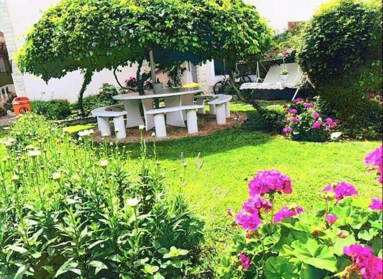 Apartments Esperanza Pašman エクステリア 写真