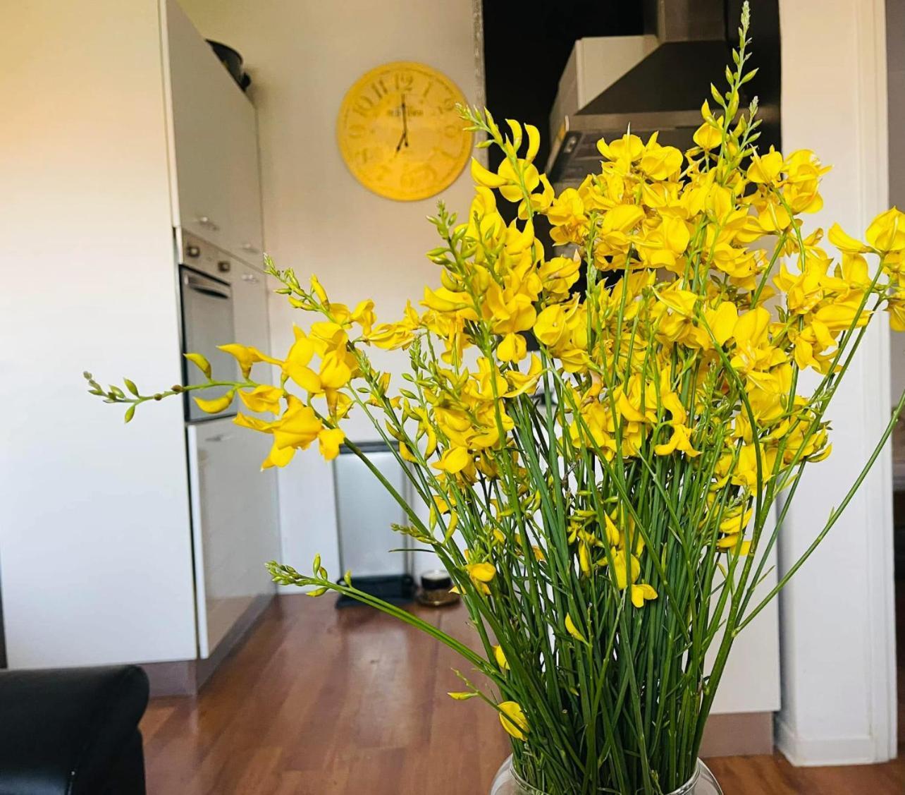 Apartments Esperanza Pašman エクステリア 写真
